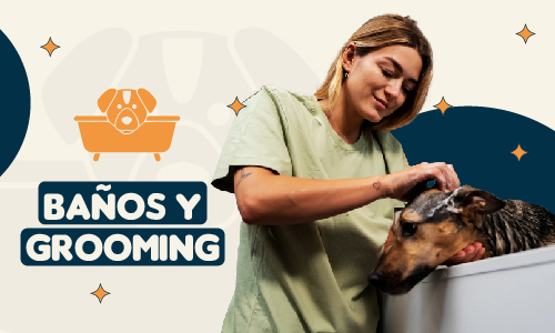 Baños y Grooming